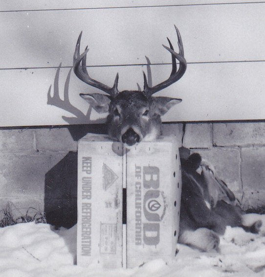 Deerstalker- 1950s Vintage Photographs- SET of 2- Hunter and Kill- Big Stag- Deer Antlers- Gruesome Souvenir- Found Photos- Creepy Snapshots