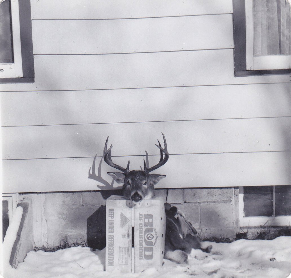 Deerstalker- 1950s Vintage Photographs- SET of 2- Hunter and Kill- Big Stag- Deer Antlers- Gruesome Souvenir- Found Photos- Creepy Snapshots