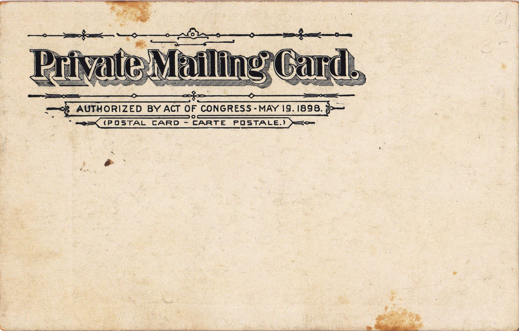 McKinley Receiving Vault- 1900s Antique Postcard- Westlawn Cemetery- Canton, Ohio- Memorial Card- Mourning President- Private Mailing Card