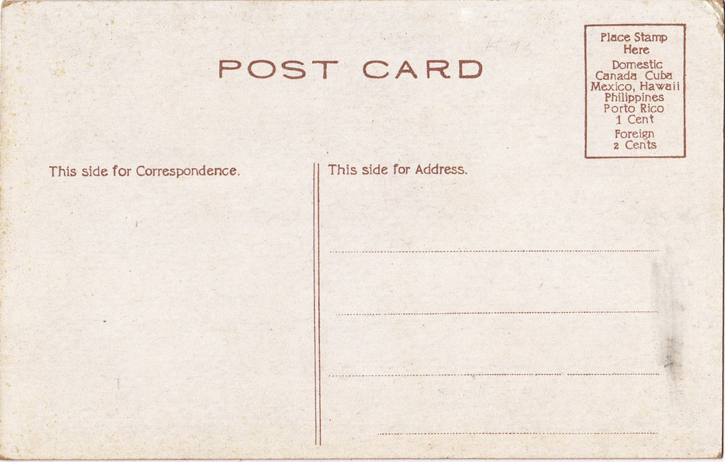Love in De-Fence- 1910s Antique Postcard- Edwardian Romance- Artist Signed- R. Lillo- Art Comic- Unused