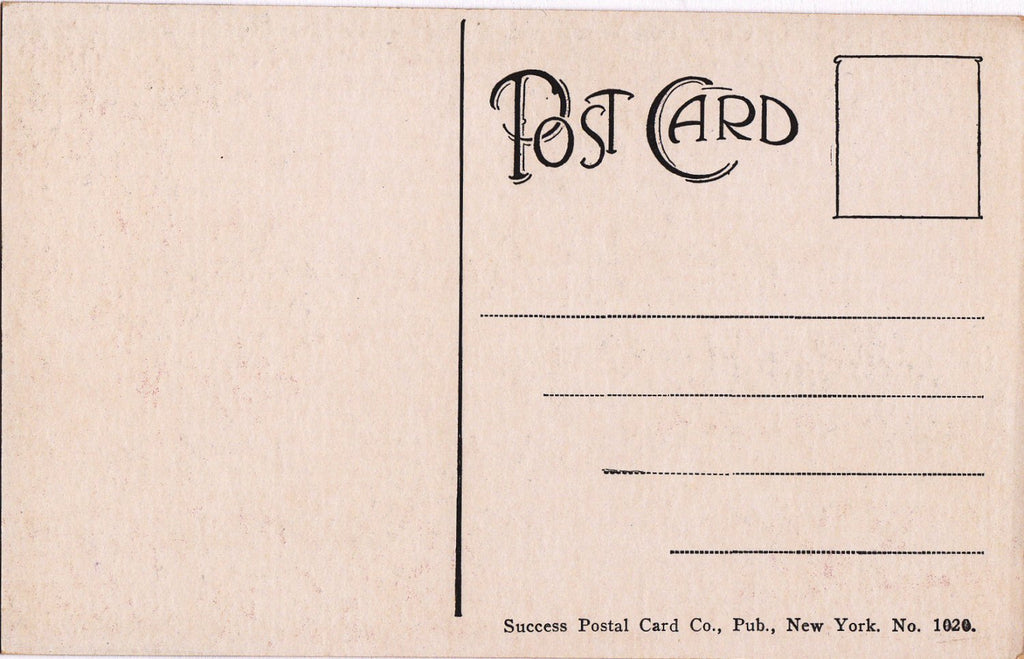 Libby Castle- 1900s Antique Postcard- Fort Washington Park, New York- Souvenir View- Success Postal Co- Unused