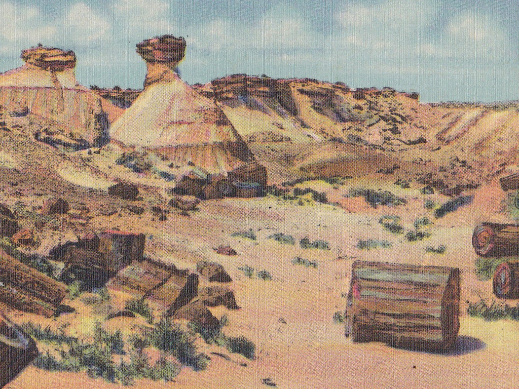 Petrified Wood and Erosions- 1940s Vintage Postcard- Petrified Forest, Arizona- Southwest Landscape- Souvenir Postcard