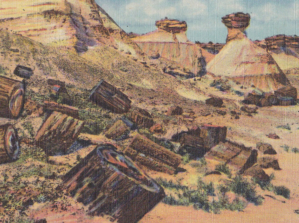 Petrified Wood and Erosions- 1940s Vintage Postcard- Petrified Forest, Arizona- Southwest Landscape- Souvenir Postcard