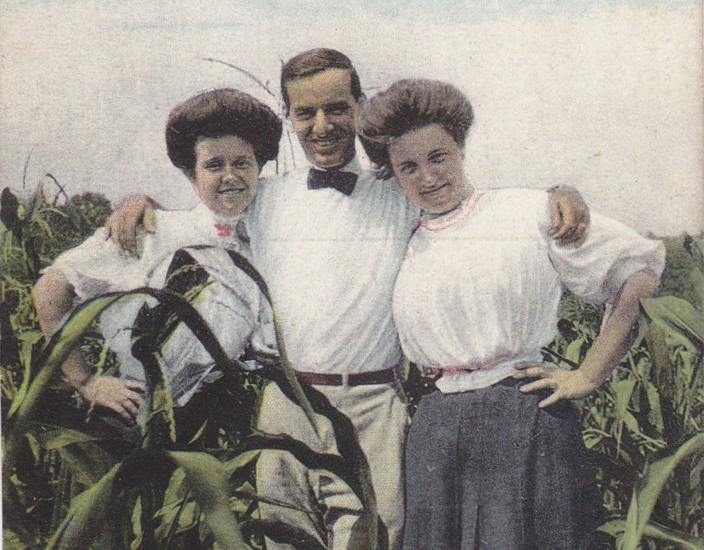 Down on the Farm- 1900s Antique Postcard- Trio of Friends- Edwardian Romance- Cornfield- Gibson Girls- Artino Post Card- Unused