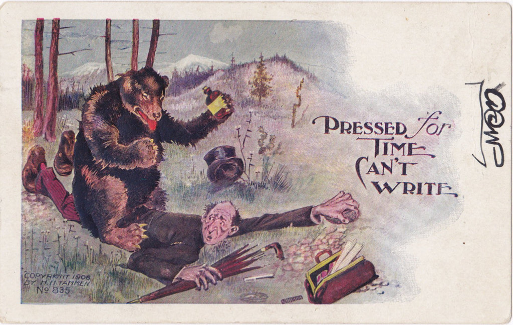 Pressed For Time- 1900s Antique Postcard- Can't Write- Grizzly Bear- Edwardian Humor- Art Comic- H H Tammen- Embossed- Used
