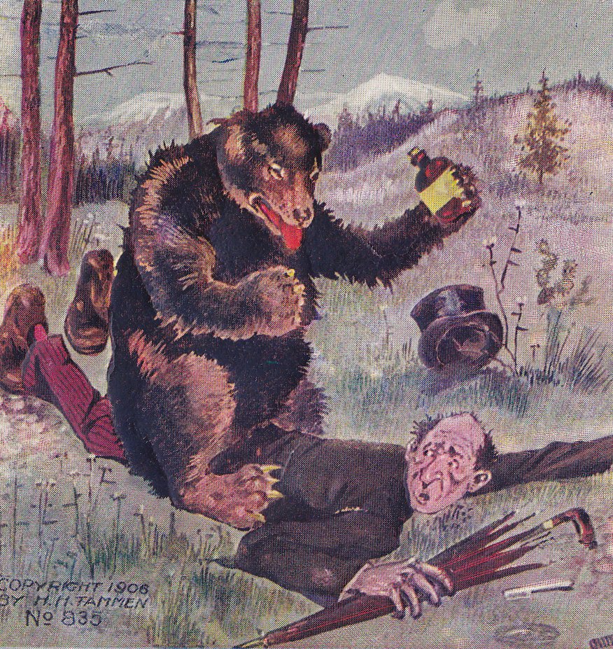 Pressed For Time- 1900s Antique Postcard- Can't Write- Grizzly Bear- Edwardian Humor- Art Comic- H H Tammen- Embossed- Used
